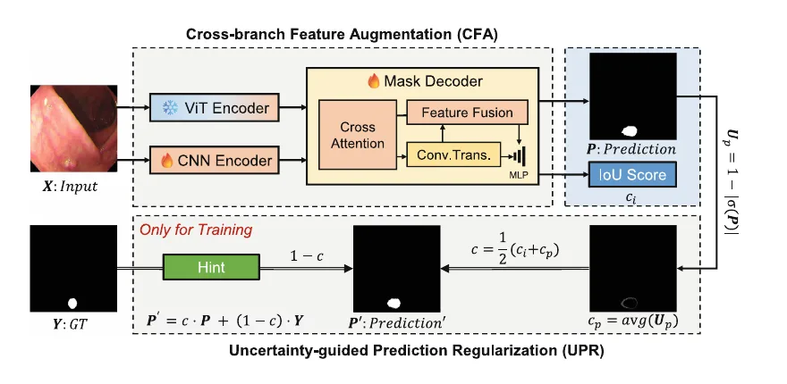 ASPS: Augmented Segment Anything Model for Polyp Segmentation — 示意图